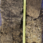 Soil comparison