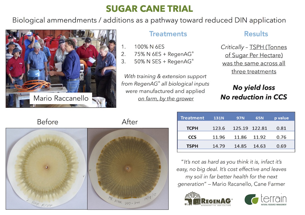 Sugar Cane Trial